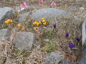 陸前高田ひろば20200314026.jpg