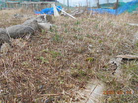 陸前高田ひろば20200314034.jpg