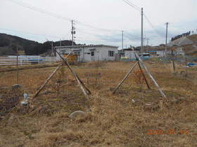 陸前高田ひろば20200314035.jpg