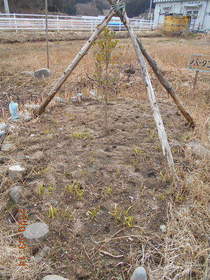 陸前高田ひろば20200314037.jpg