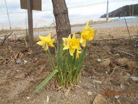 陸前高田ひろば20200314039.jpg