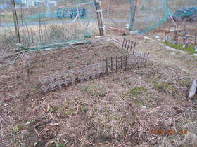陸前高田ひろば20200314054.jpg