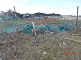 陸前高田ひろば20200321003.jpg