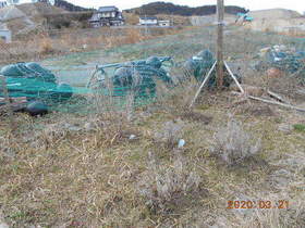 陸前高田ひろば20200321006.jpg