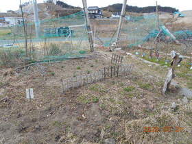 陸前高田ひろば20200321007.jpg