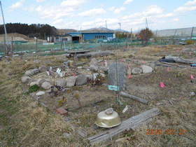 陸前高田ひろば20200321010.jpg