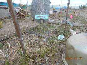 陸前高田ひろば20200321011.jpg