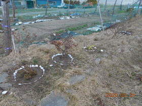 陸前高田ひろば20200321022.jpg