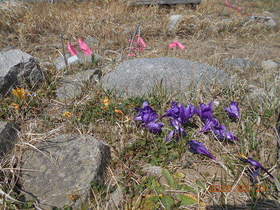 陸前高田ひろば20200321029.jpg