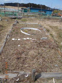 陸前高田ひろば20200321031.jpg