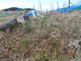 陸前高田ひろば20200321038.jpg