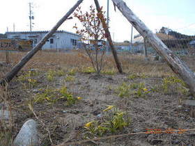 陸前高田ひろば20200321040.jpg