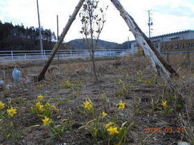 陸前高田ひろば20200321041.jpg