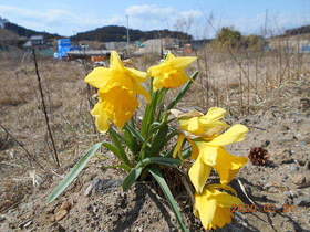 陸前高田ひろば20200321043.jpg
