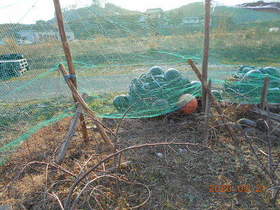 陸前高田ひろば20200321054.jpg