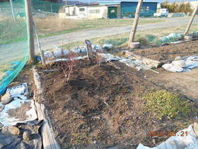 陸前高田ひろば20200321055.jpg