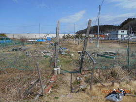 陸前高田ひろば20200328001.jpg