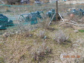 陸前高田ひろば20200328006.jpg