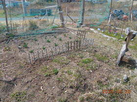 陸前高田ひろば20200328009.jpg