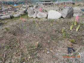 陸前高田ひろば20200328022.jpg