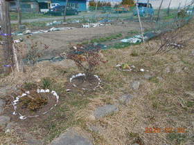 陸前高田ひろば20200328029.jpg