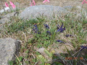 陸前高田ひろば20200328035.jpg
