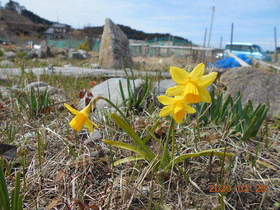 陸前高田ひろば20200328047.jpg