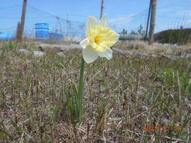 陸前高田ひろば20200328049.jpg