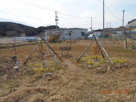 陸前高田ひろば20200328050.jpg