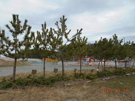 陸前高田ひろば20200328061.jpg