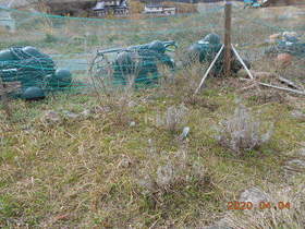 陸前高田ひろば20200404005.jpg