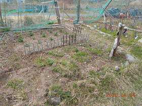 陸前高田ひろば20200404006.jpg