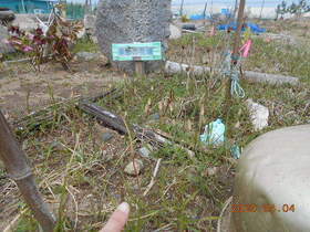 陸前高田ひろば20200404010.jpg