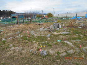 陸前高田ひろば20200404025.jpg