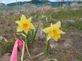 陸前高田ひろば20200404026.jpg