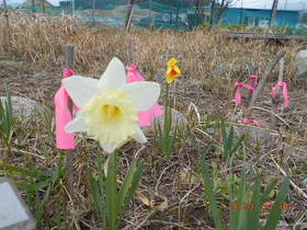 陸前高田ひろば20200404027.jpg