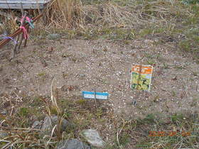 陸前高田ひろば20200404028.jpg