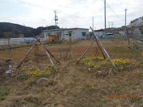 陸前高田ひろば20200404041.jpg