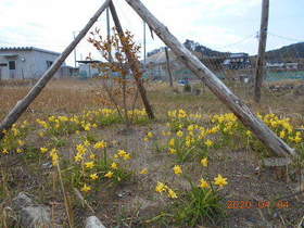 陸前高田ひろば20200404042.jpg