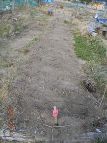 陸前高田ひろば20200404052.jpg