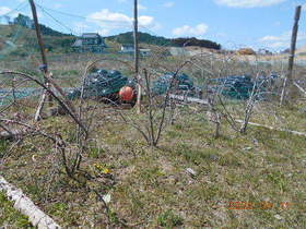 陸前高田ひろば20200411004.jpg