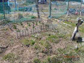 陸前高田ひろば20200411007.jpg