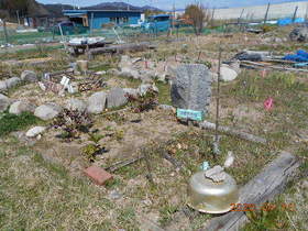 陸前高田ひろば20200411010.jpg