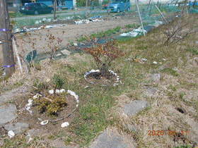 陸前高田ひろば20200411024.jpg