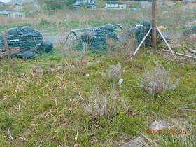 陸前高田ひろば20200425005.jpg