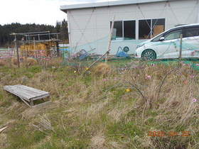 陸前高田ひろば20200425007.jpg