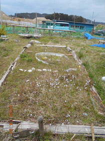 陸前高田ひろば20200425036.jpg