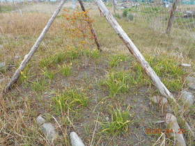 陸前高田ひろば20200425045.jpg