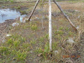 陸前高田ひろば20200425046.jpg