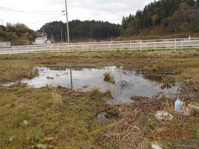 陸前高田ひろば20200425047.jpg